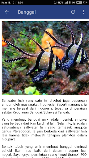 84+ Foto Ikan Hias Air Laut Gratis