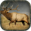 Elk Hunting Calls