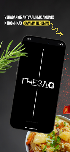 Android application Гнездо screenshort