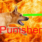 Punisher