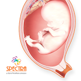 Mini Atlas Obstetrics icon
