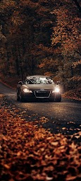 Fondos de Pantalla de Audi R8 - Wallpapers HD