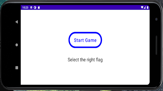 Flags game