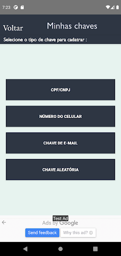 br Pix Pagamentos PIX e Chaves Screen 2