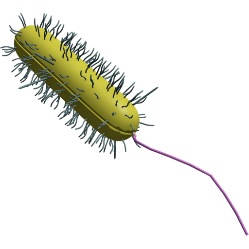 3D Gram Bacteria Explorer logo