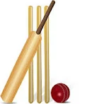 Cricket challenge Game 2020