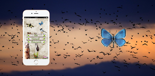 Tierwelt Österreichs