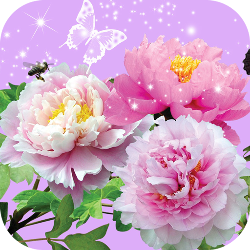 Pictures of Flowers App 1.19 Icon