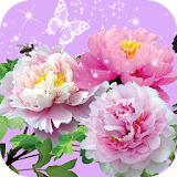 🌷🌷Pictures of Flowers: Beautiful Images To Share icon