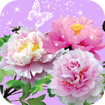 Pictures of Flowers Appp Apk
