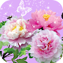 Pictures of Flowers App