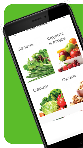 Android application ViVaDa screenshort