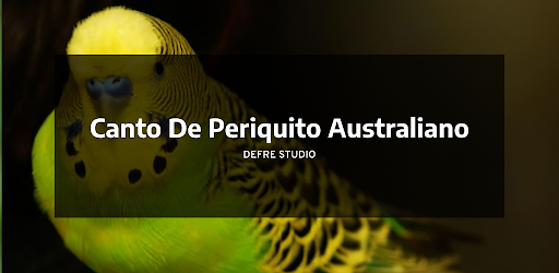 Canto De Periquito Australiano