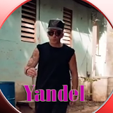 Yandel Encantadora Musica icon