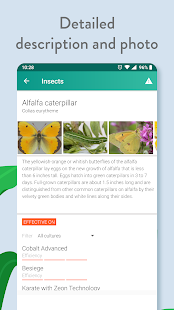 Agrobase - weed, disease, insect Screenshot