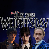 Wednesday Netflix Quiz 2023 icon