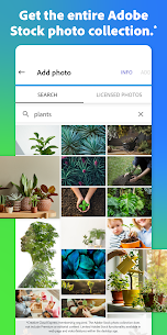 Adobe Express MOD APK: Graphic Design (PRO Unlocked) 4
