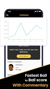 Cricket Master Live Score Line
