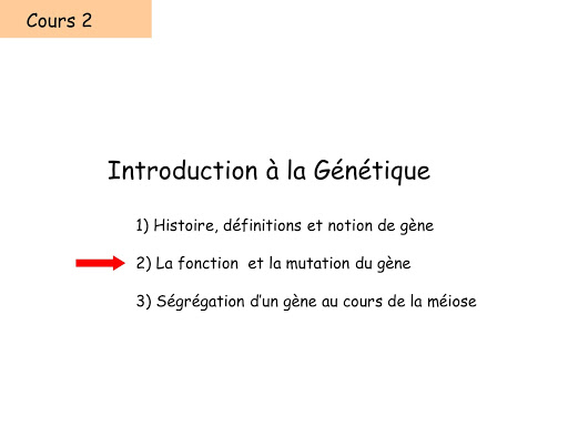 QCM Biologie