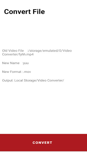 Fast Video Converter Screen 3