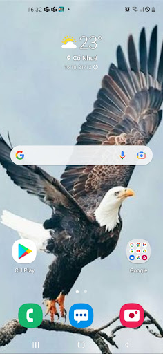 Android application Eagle Wallpaper 2024 screenshort