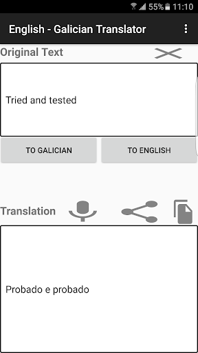 English - Galician Translator Screen 3