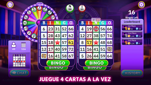 Vista previa de la aplicación