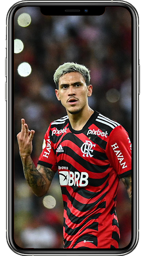 Pedro Flamengo Wallpapers