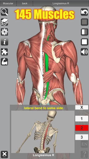 3D Anatomy - Medical - apps