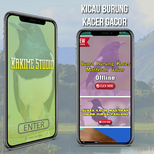 Android application Kicau Burung Kacer Lengkap screenshort
