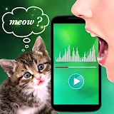 Translator for Cats Prank icon