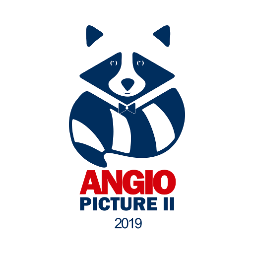 Angiopicture 2019 logo
