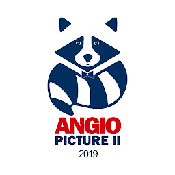图标图片“Angiopicture 2019”