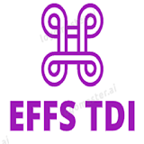Les Examens Fin Formation TDI icon