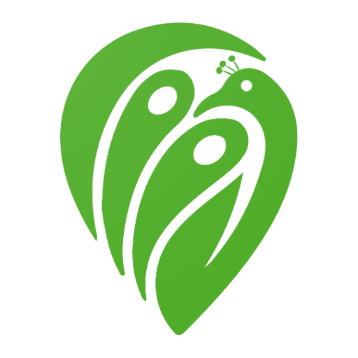 Poynt Sports logo