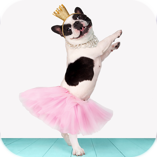 AppLock Theme Cute Dog