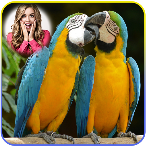 Birds Photo Frames logo