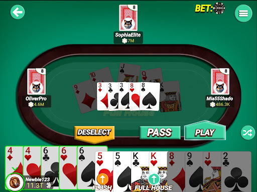 Screenshot 17