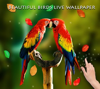 Birds 3D Live Wallpaper Screenshot