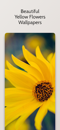 Android application Yellow Flower Wallpapers HD screenshort
