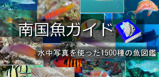 南国魚ガイド 1700種の魚図鑑 Google Play のアプリ