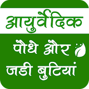 आयुर्वेदिक पौधे और जड़ी बूटियां