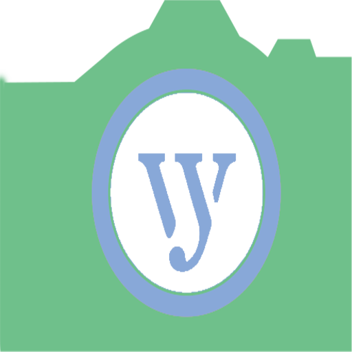 WIFI Visible logo