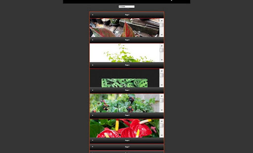 Complete Ornamental Plant Cultivation