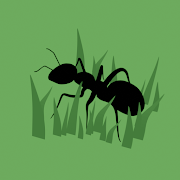 Damn, Ants!  Icon