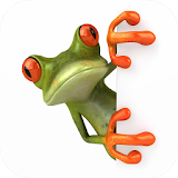 Funny Frog One Wallpaper icon