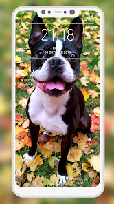 Screenshot 10 Boston Terrier Wallpaper android