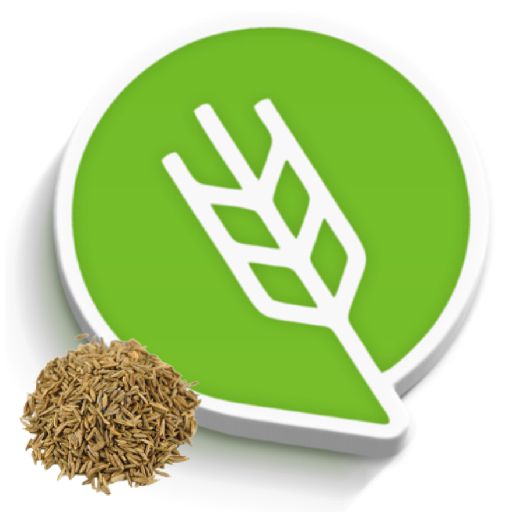 शाही-जीरे लागवड #Agrownet™ logo
