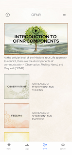 Mediate Your Life
