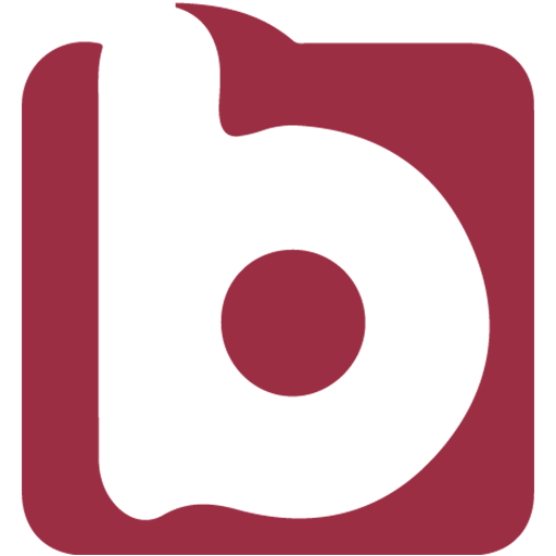 biservisim logo